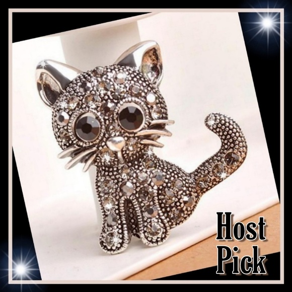 Moon Goddess Boutique Jewelry - New! Precious Black Crystal Cat Pin/Brooch